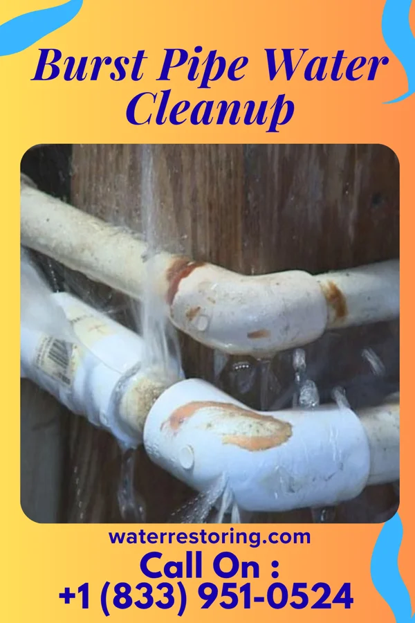 Burst Pipe Water Cleanup in Grottoes, VA