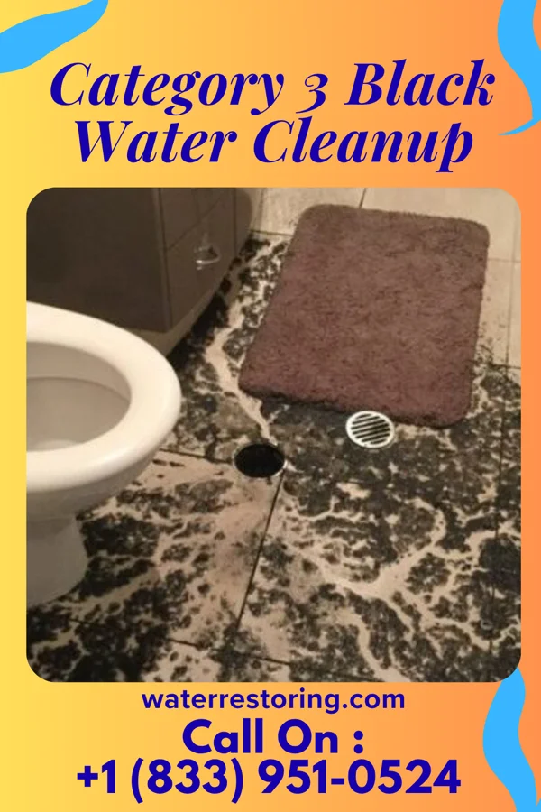 Category 3 Black Water Cleanup in Grottoes, VA